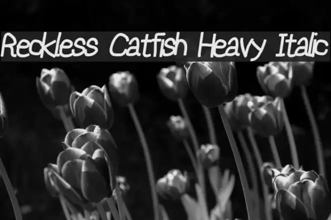 Reckless Catfish Heavy Italic Schriftart examples