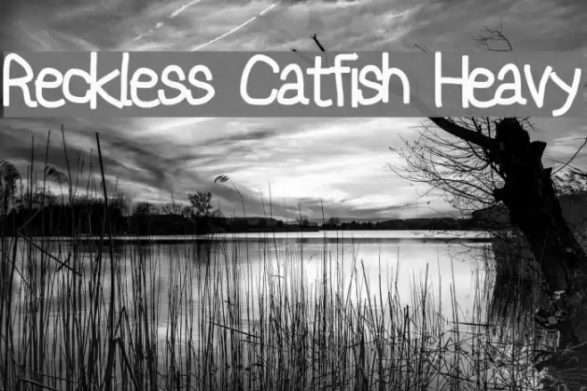 Reckless Catfish Heavy Font examples