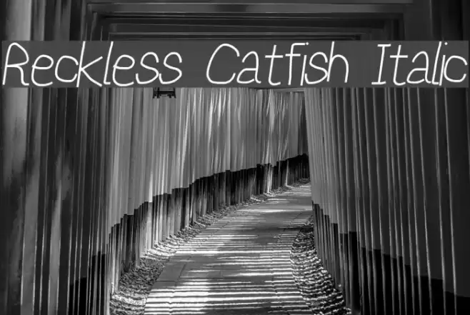 Reckless Catfish Italic Font examples