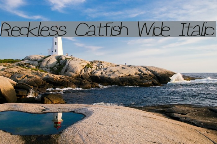 Reckless Catfish Wide Italic Font examples