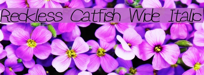 Reckless Catfish Wide Italic Font examples