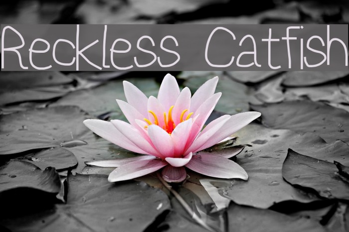Reckless Catfish Font examples