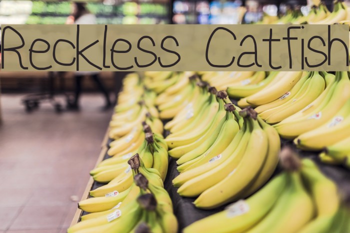 Reckless Catfish Font examples