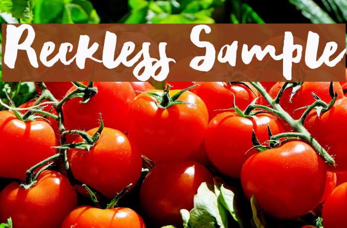 Reckless Sample Font examples