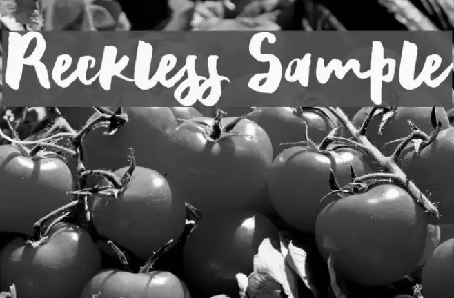Reckless Sample Font examples