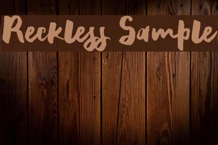 Reckless Sample Font examples