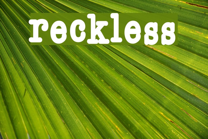 Reckless Font examples