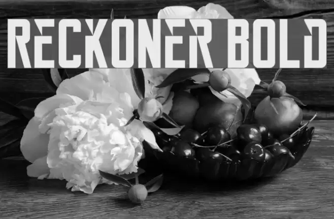 Reckoner Bold Font examples