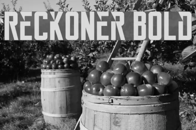 Reckoner Bold Font examples