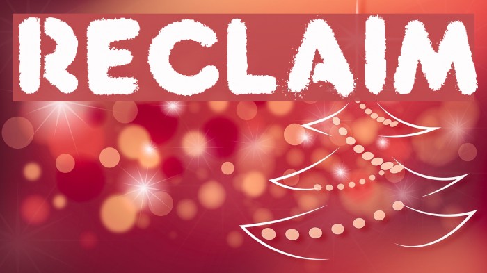 Reclaim Font examples