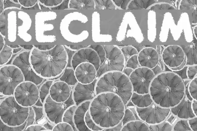 Reclaim Font examples