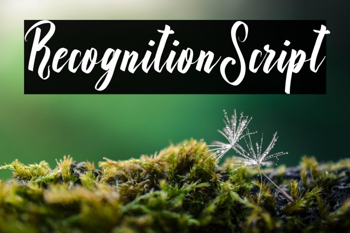 RecognitionScript Example 1