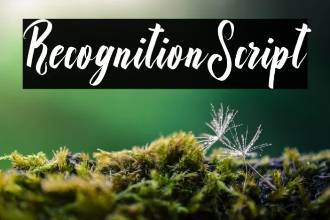 RecognitionScript Example 1