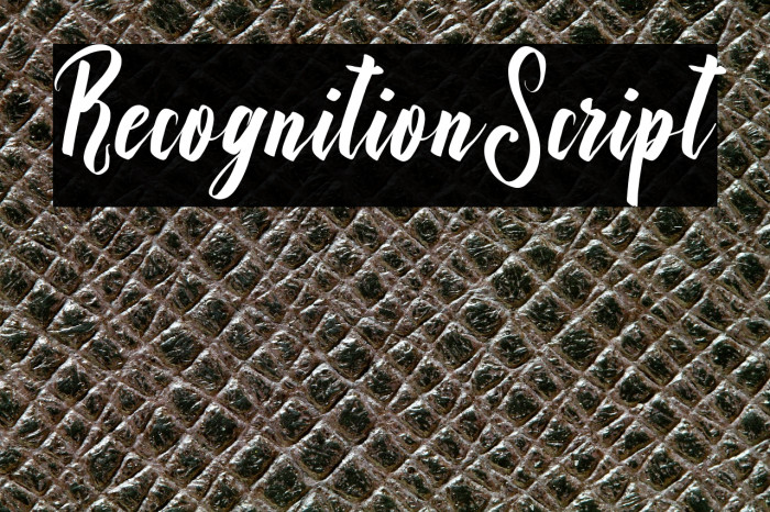 RecognitionScript Example 2