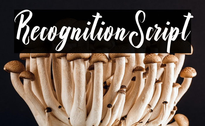 RecognitionScript Example 3