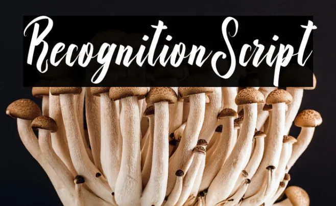 RecognitionScript Example 3