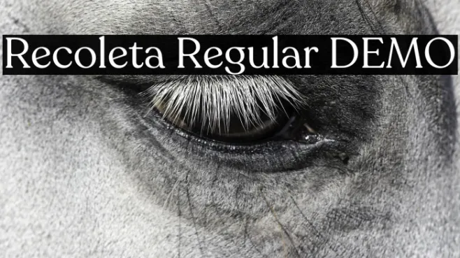 Recoleta Regular DEMO Example 1