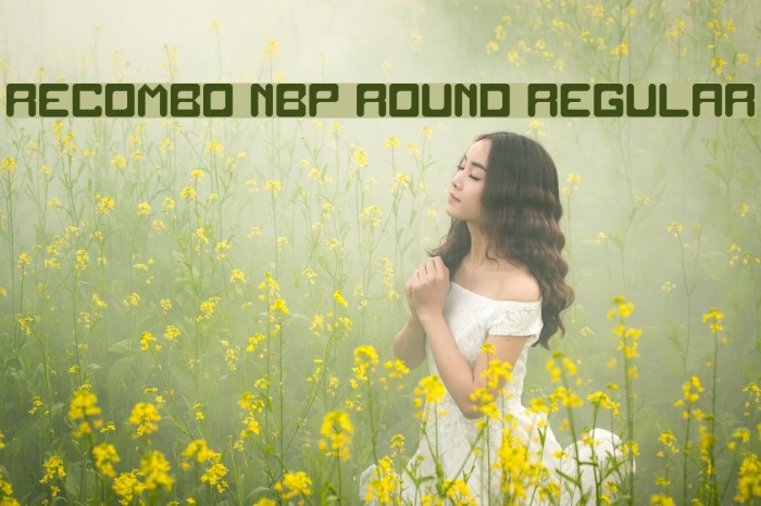 Recombo NBP Round Regular Font examples