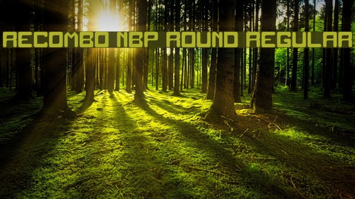 Recombo NBP Round Regular Font examples