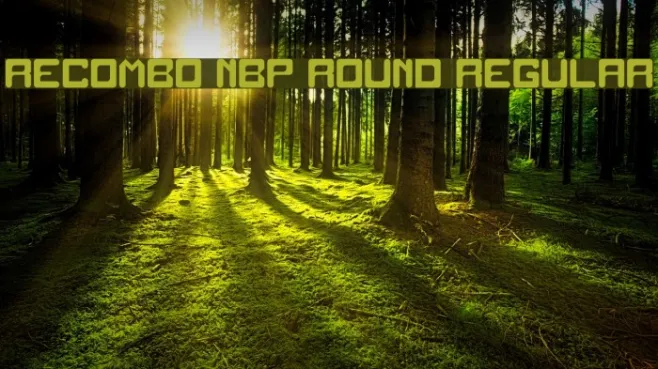 Recombo NBP Round Regular Example 2