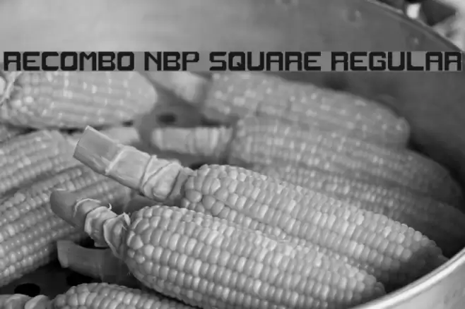 Recombo NBP Square Regular Font examples