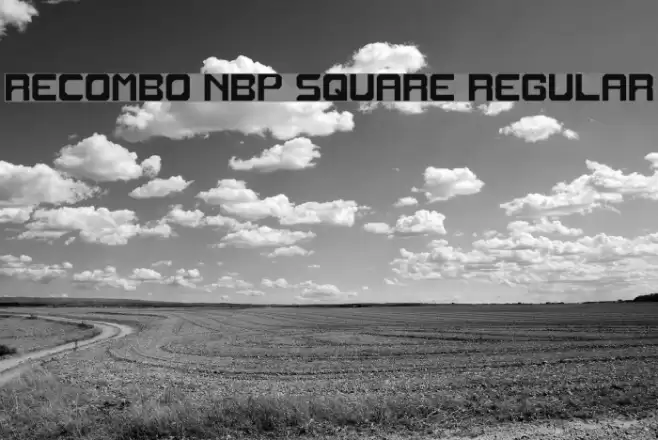 Recombo NBP Square Regular Font examples