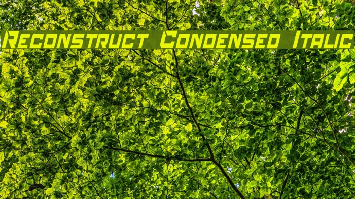 Reconstruct Condensed Italic Example 3