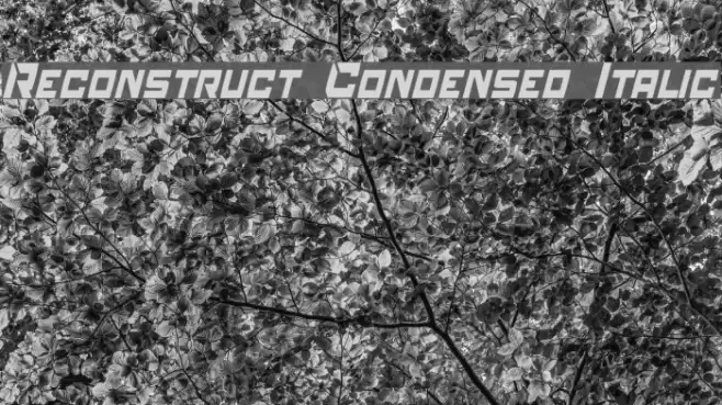 Reconstruct Condensed Italic Font examples