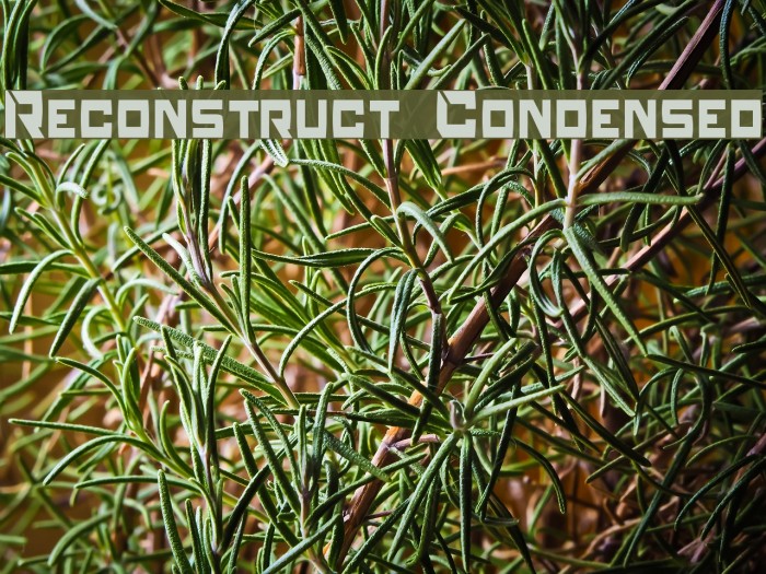 Reconstruct Condensed Font examples