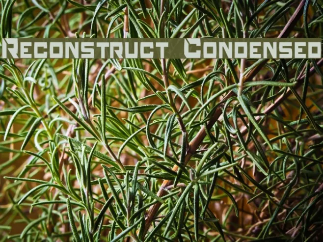 Reconstruct Condensed Example 2