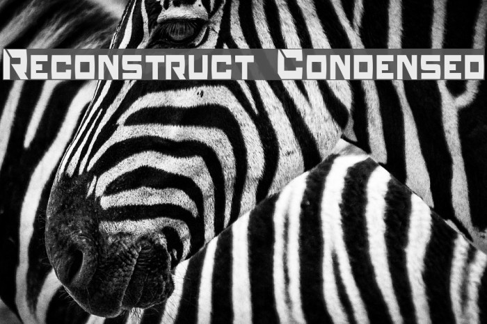 Reconstruct Condensed Font examples
