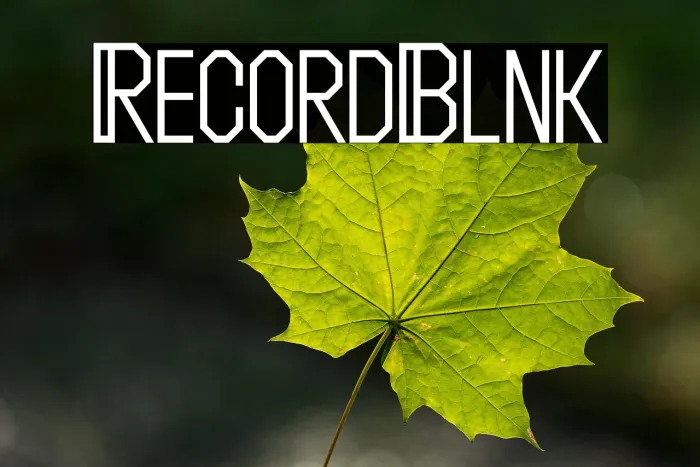 Record Blink Example 3