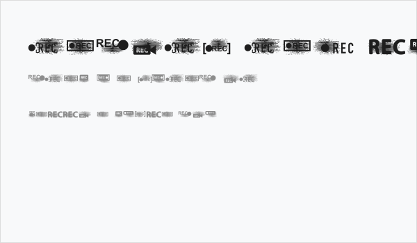 Record Regular Business Card