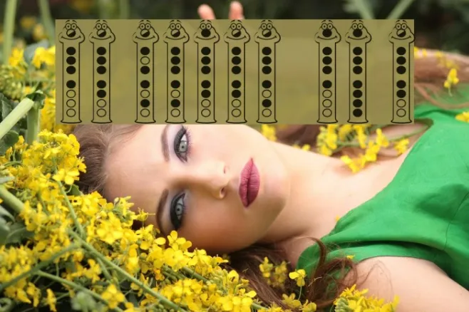 Recorder Face Example 3