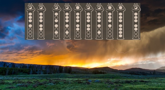 RecorderFace Example 2