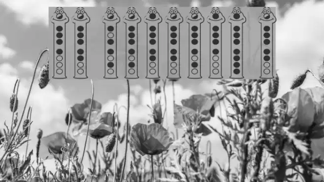 RecorderFace Font examples