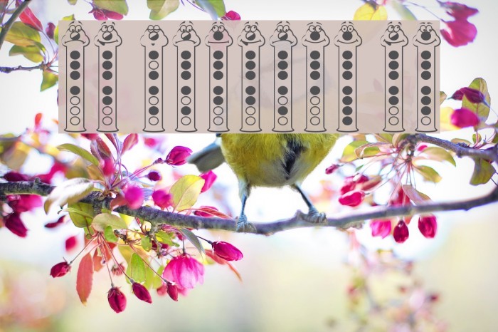 RecorderFaces Example 2