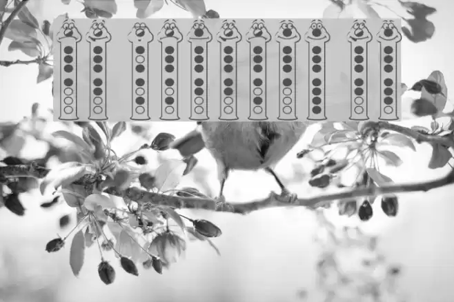 RecorderFaces Font examples