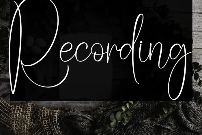 Recording Example 2