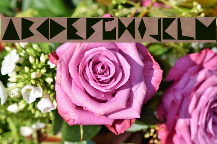 Recorte Font examples