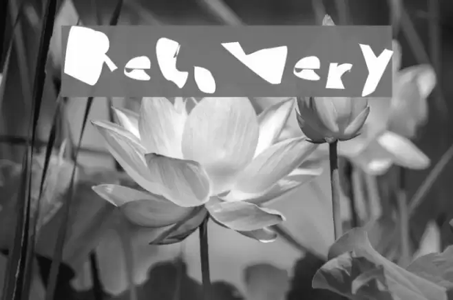 Recovery Font examples