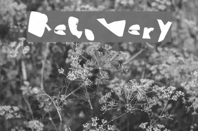 Recovery Font examples