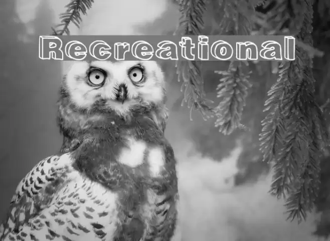 Recreational Font examples