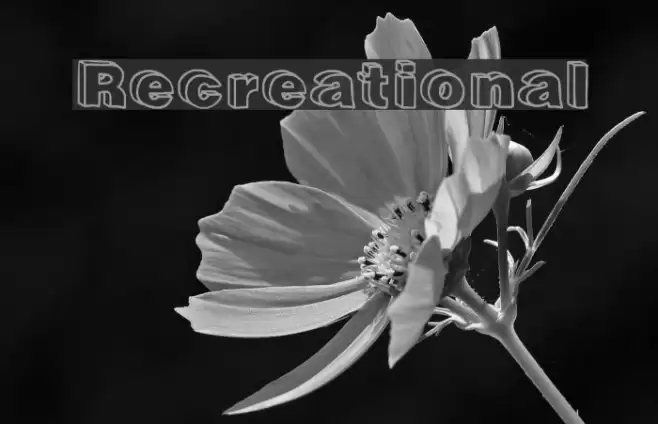 Recreational Font examples