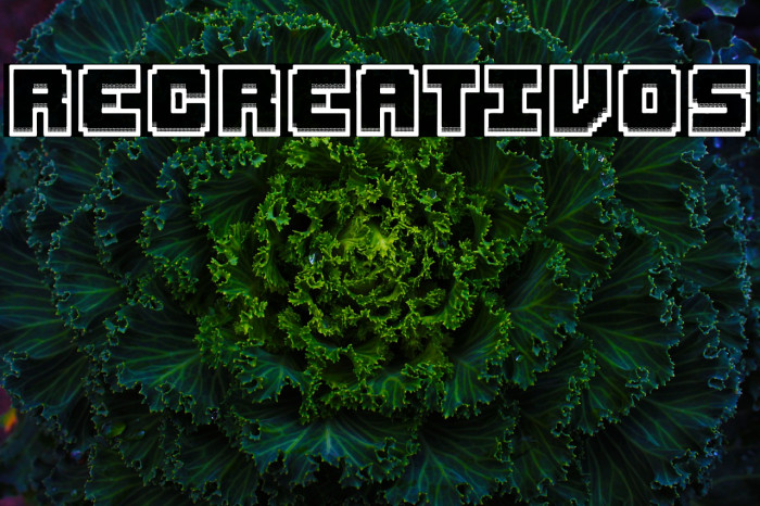 Recreativos Example 1