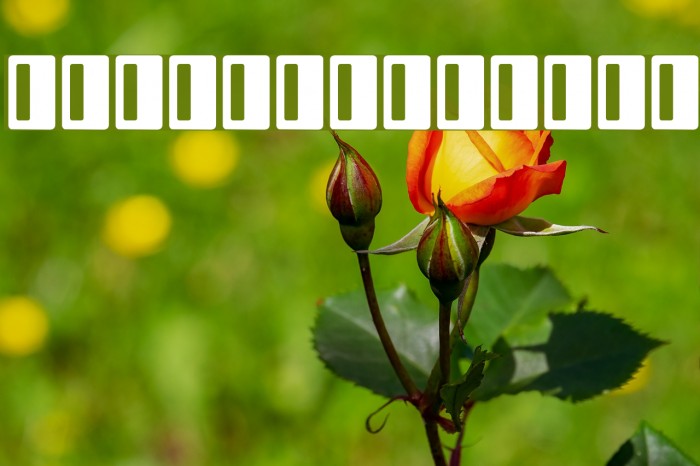 Rectangle I Example 2