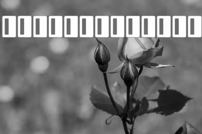 Rectangle I Font examples