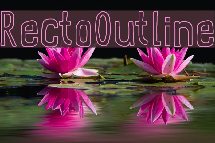 RectoOutline Font examples