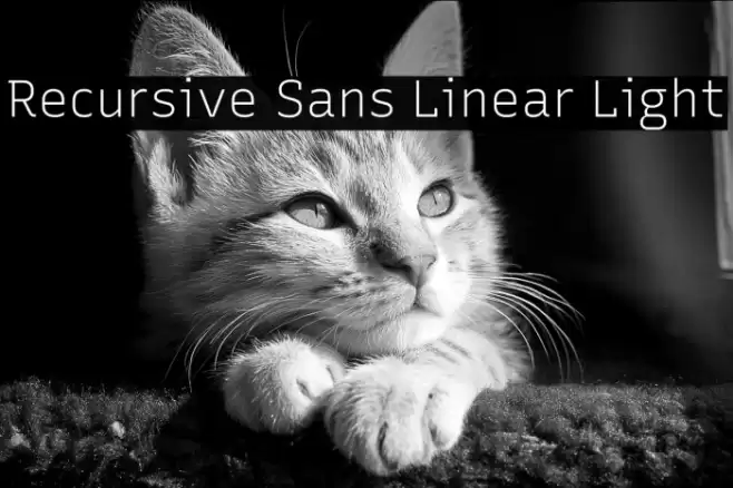 Recursive Sans Linear Light フォント examples