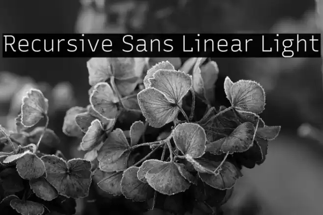 Recursive Sans Linear Light フォント examples